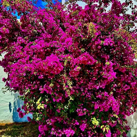 Solar Do Monte 5 Apartmán Albufeira