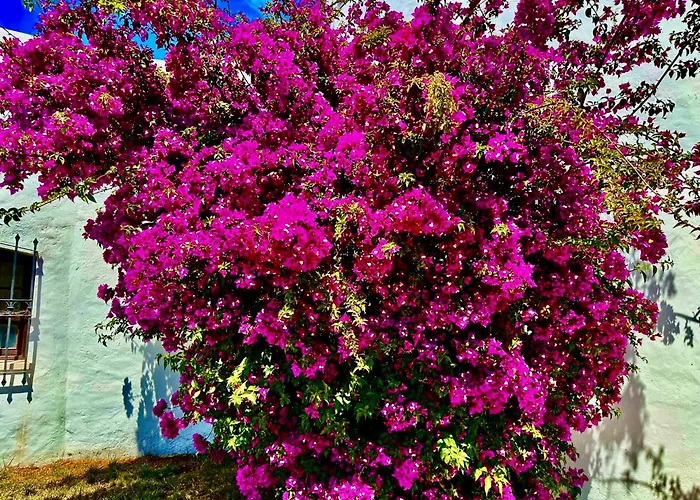 Solar Do Monte 5 Lägenhet Albufeira