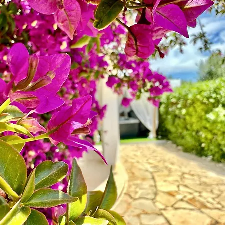 Solar Do Monte 5 Lejlighed Albufeira